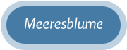 Meeresblume