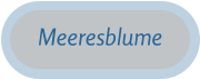Meeresblume